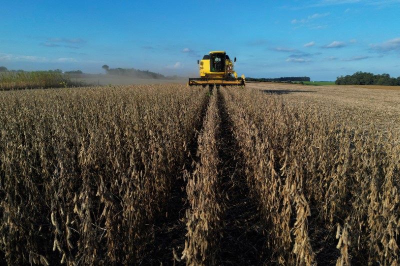 corte-em-subvencao-do-governo-desenha-mais-um-ano-negativo-para-o-seguro-rural